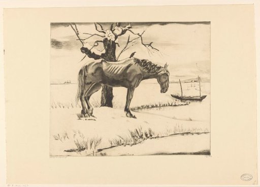 Horse in a snow-covered landscape