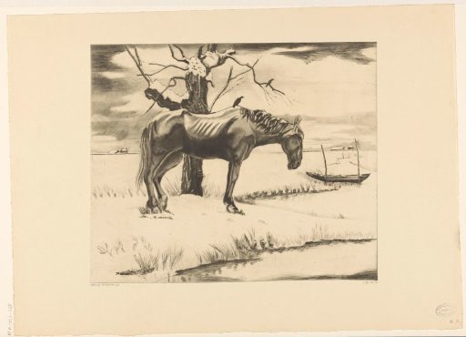 Horse in a snow-covered landscape