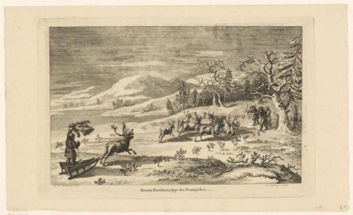 Winter landscape with hunting Samoyeds