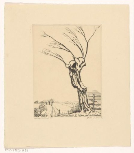 Willow in a Winter Landscape
