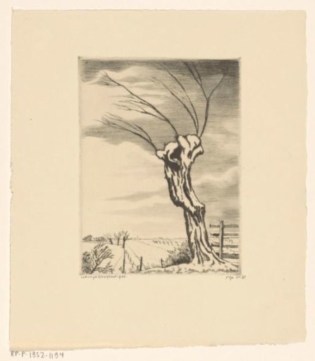 Willow in a Winter Landscape