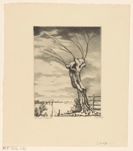 Willow in a Winter Landscape