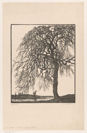 Tree by a lake