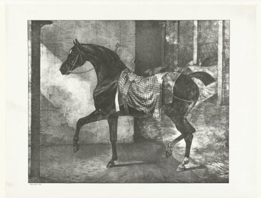Black thoroughbred horse in a stable