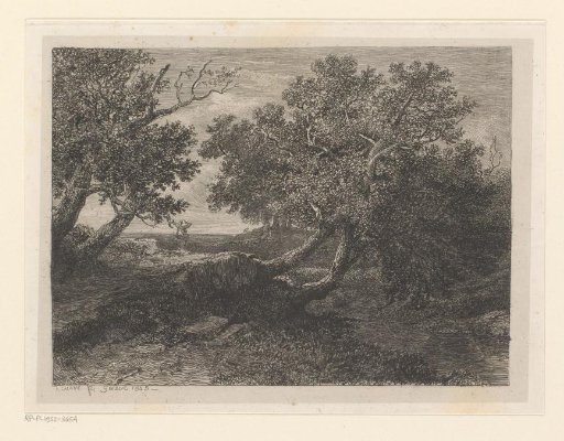 Landscape with deciduous trees hanging over a stream