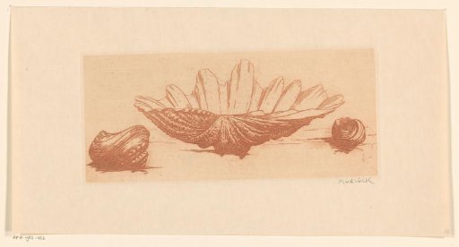 Three shells