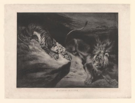 Lion and Tiger