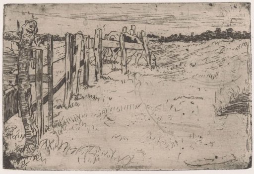 Grazing cow by a fence in a meadow