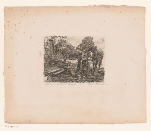 Two horses at a drinking trough