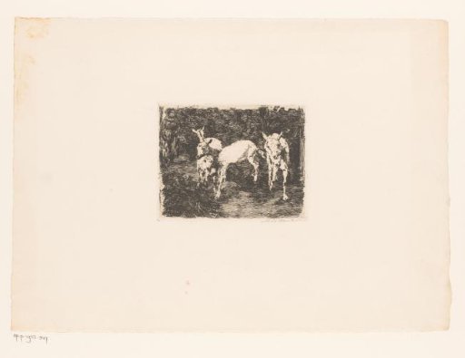 Four goats in a stable