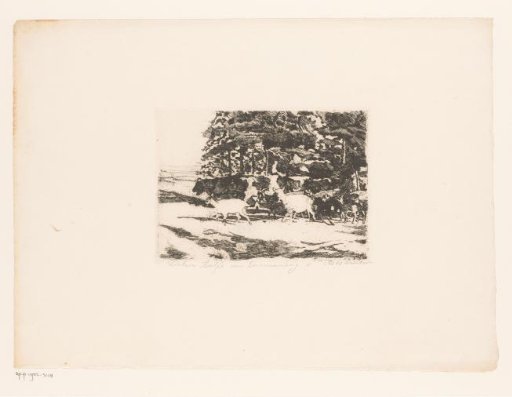 Herd of cows and goats at the edge of a wood