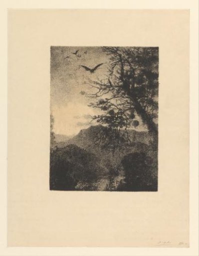 Eagles Above a Mountain Landscape