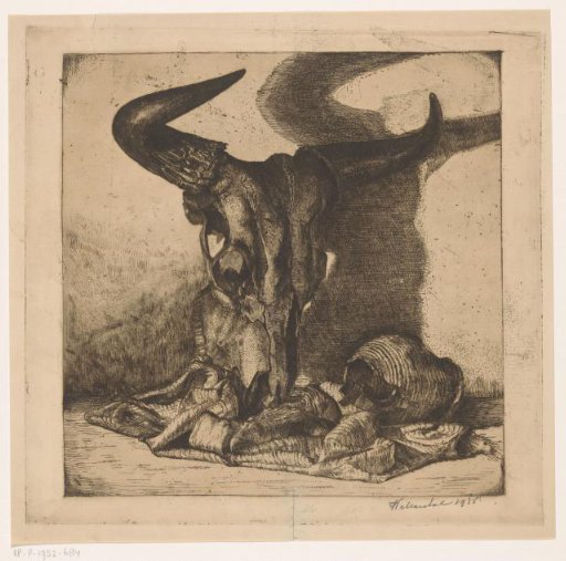 Still Life with Ox Skull, Jug and Cloth