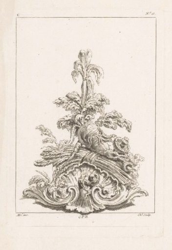 Shell motif with roots