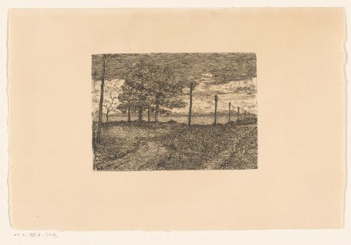 Country road with telegraph poles