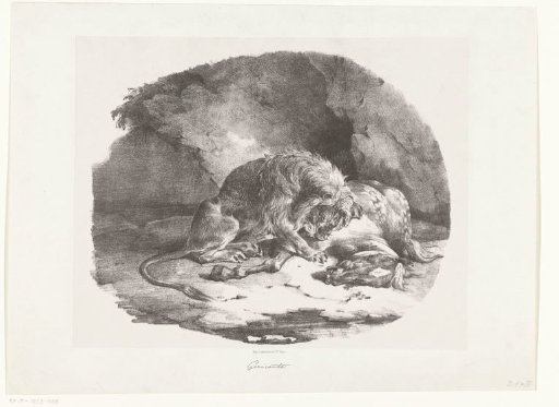 Lion tearing apart a horse