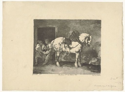 A horse being shod