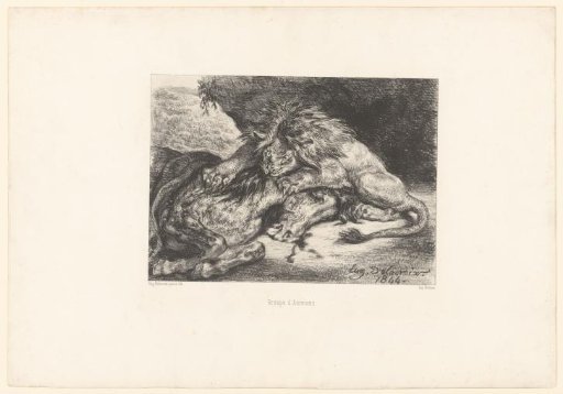 Lion Devours a Horse