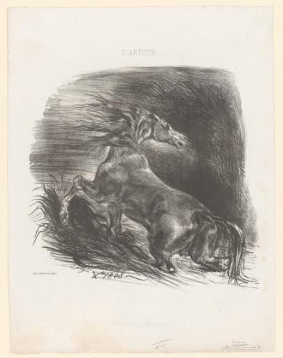 Wild Horse