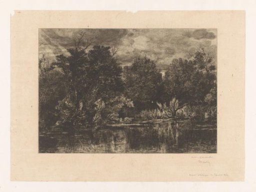 View of a pond