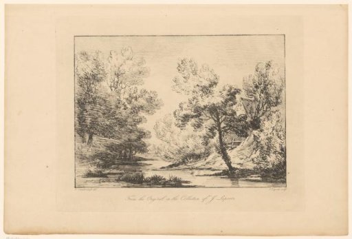 River in a Wooded Area