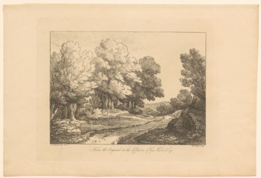 Forest path