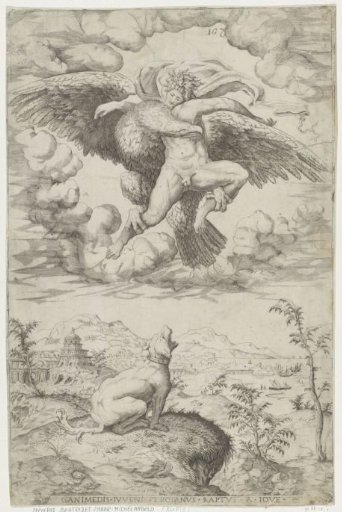 The Abduction of Ganymedes