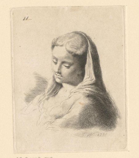 Head of a Woman with a Veil, Looking Down
