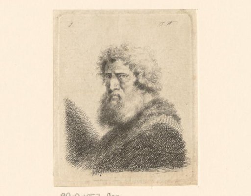 Portrait of an Unknown Old Man with Beard, Turned to the Left