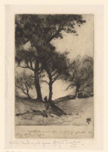 Four Trees on Low Hills in the Elan Valley in Wales