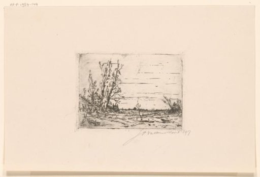Landscape with a farm and tall trees