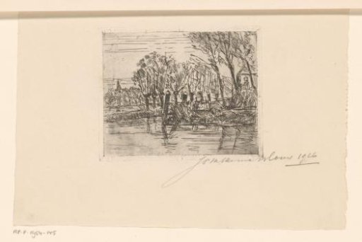 Small canal with willows