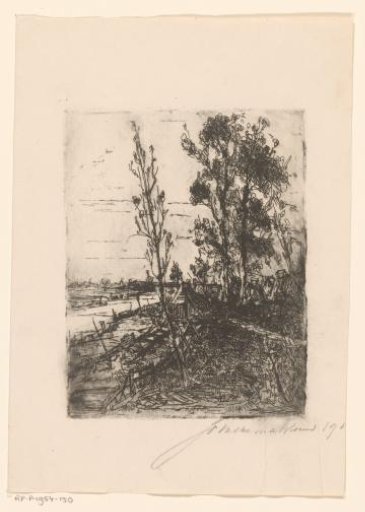 Ditch with trees along the side