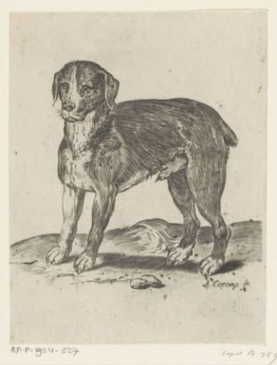 Standing Dog