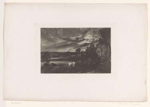 Landscape with cows