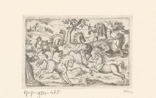 Five horses and a donkey