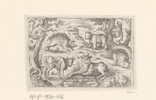 Two cows, two pigs, two bears, a dog and a cat