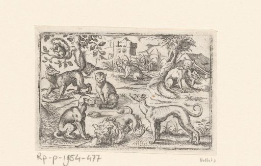 Three dogs, a wolf, a cat, a fox, a squirrel and a beaver