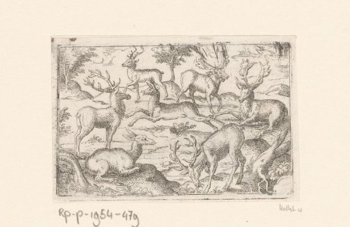 Seven stags
