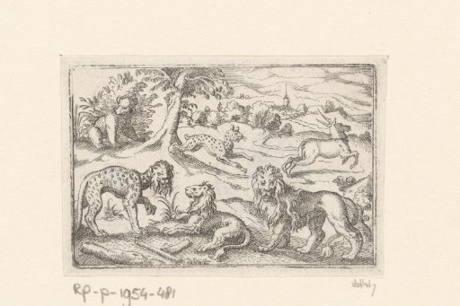 Two leopards, two lions, a stag and a bear