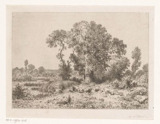 Group of Trees near a Marsh