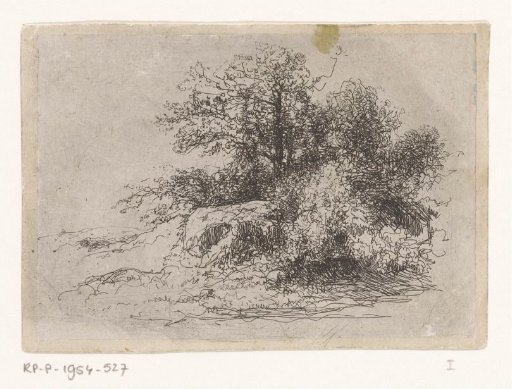 Shrubbery