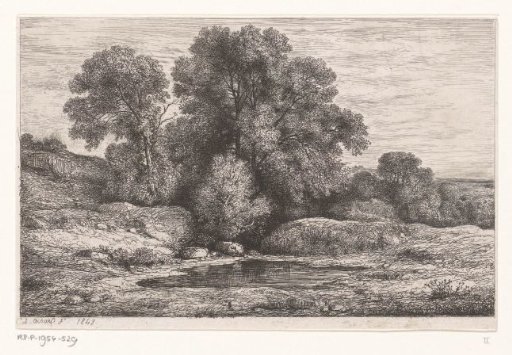 Trees by a pond