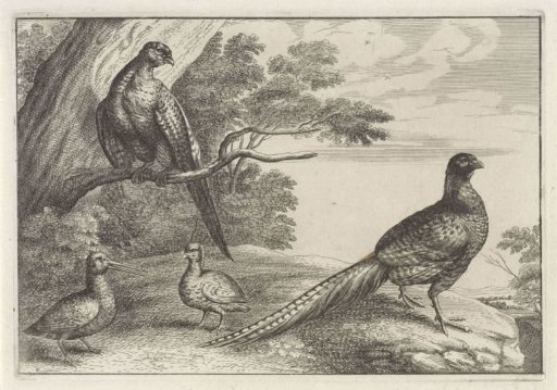 Four Birds
