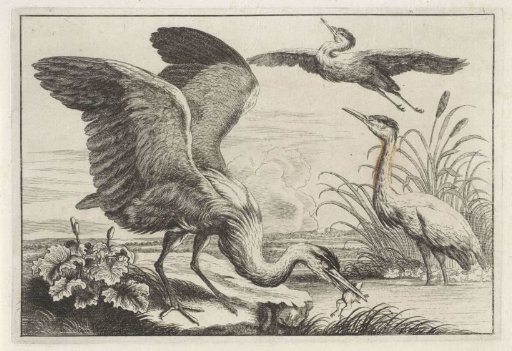 Three Herons