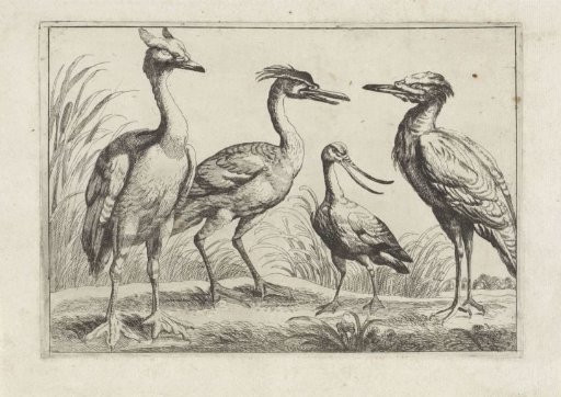 Four Wading Birds