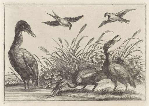 Herons and Swallows