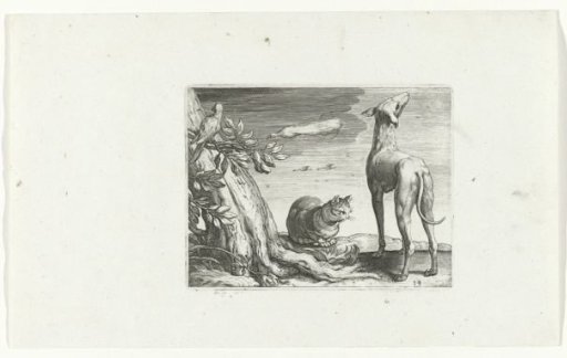 Bird on a branch, bird in the air, cat and dog