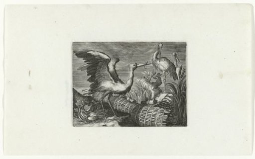 Storks