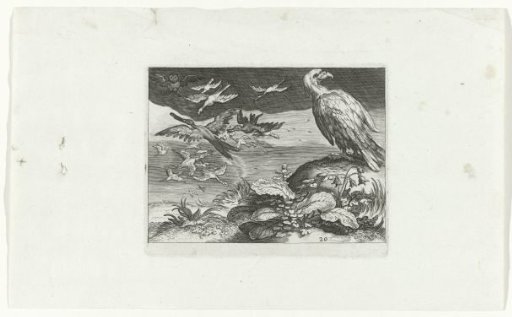 Flying birds, bird of prey and plants